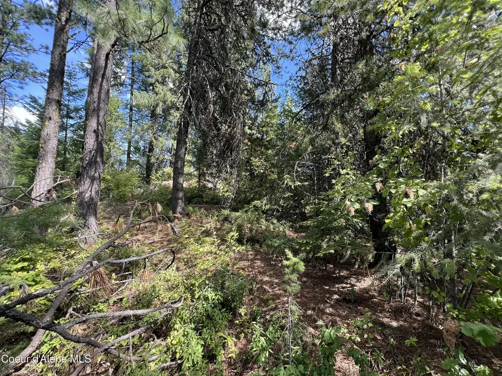1425 Upriver View Drive Fernwood ID 83830