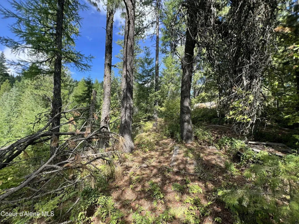1425 Upriver View Drive Fernwood ID 83830