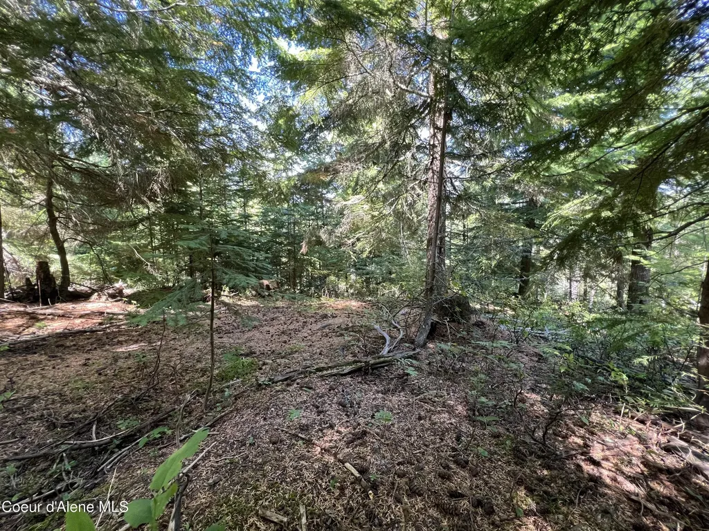 520 Alpine Drive Fernwood ID 83830