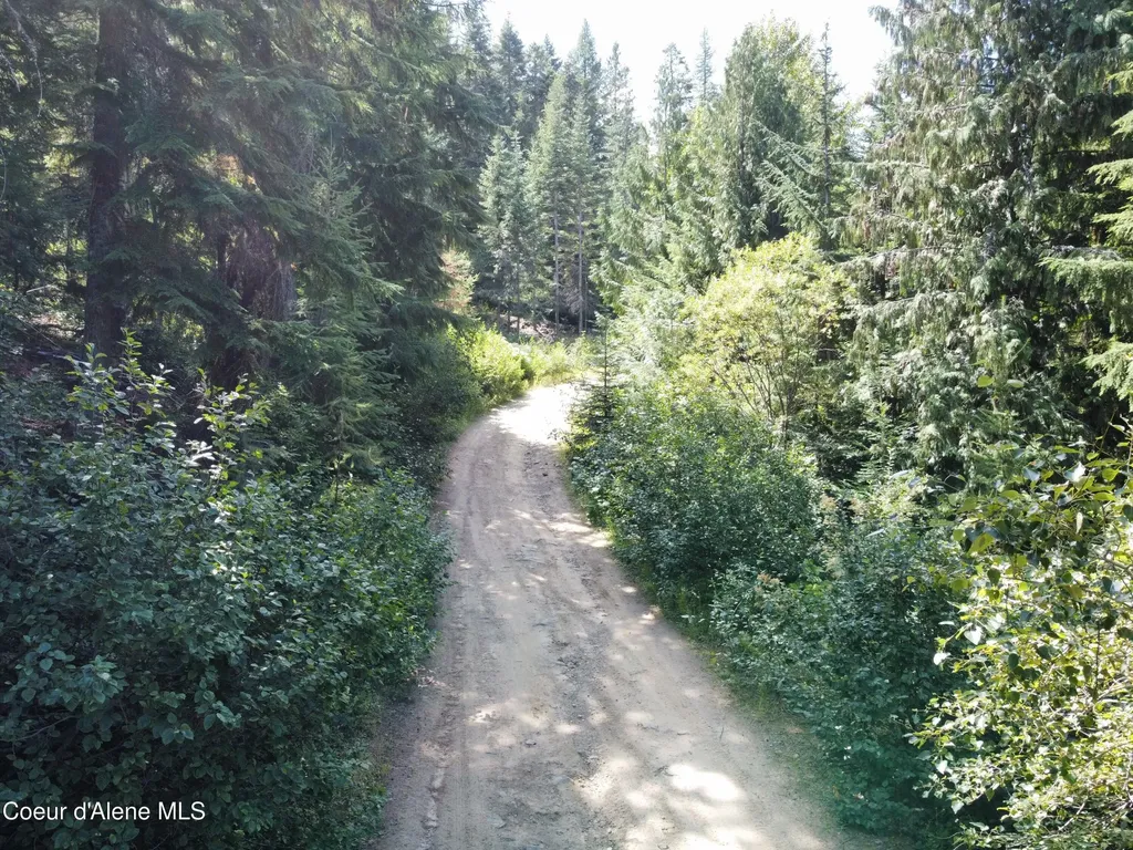 520 Alpine Drive Fernwood ID 83830