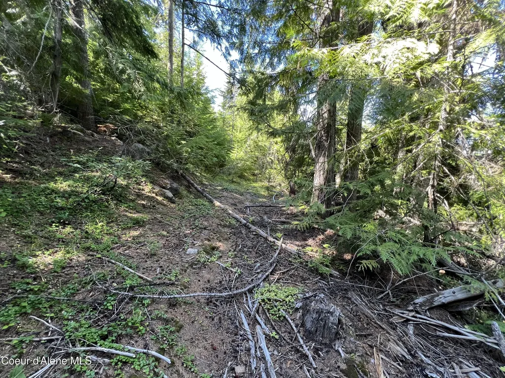 520 Alpine Drive Fernwood ID 83830