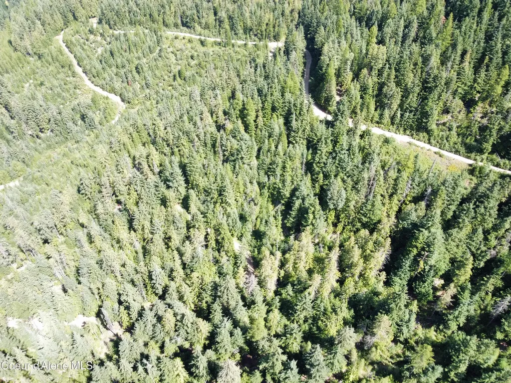 520 Alpine Drive Fernwood ID 83830