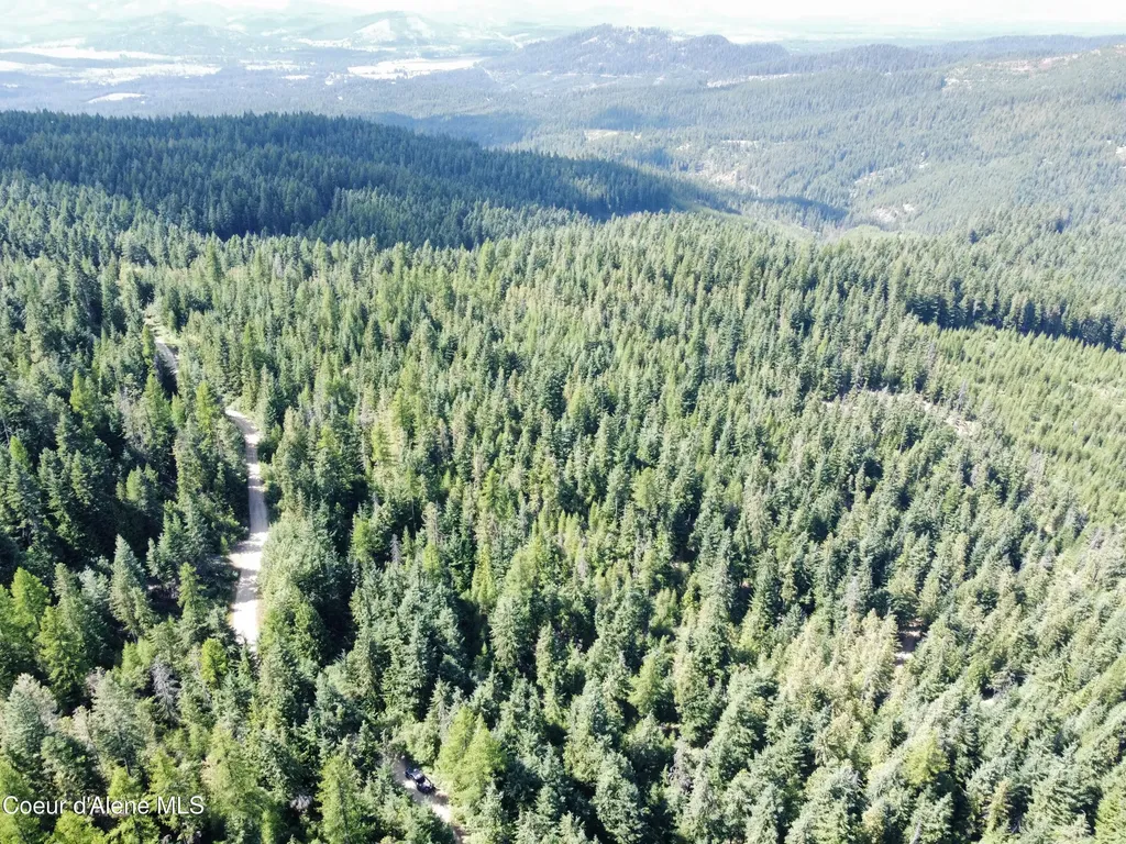 520 Alpine Drive Fernwood ID 83830