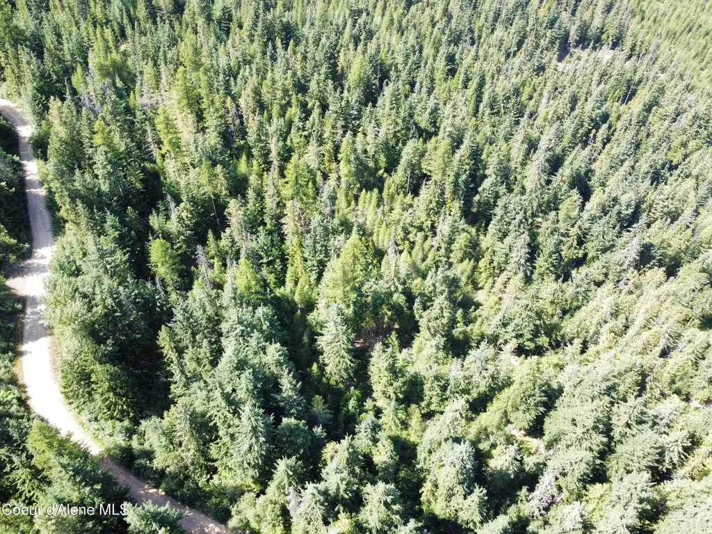 520 Alpine Drive Fernwood ID 83830