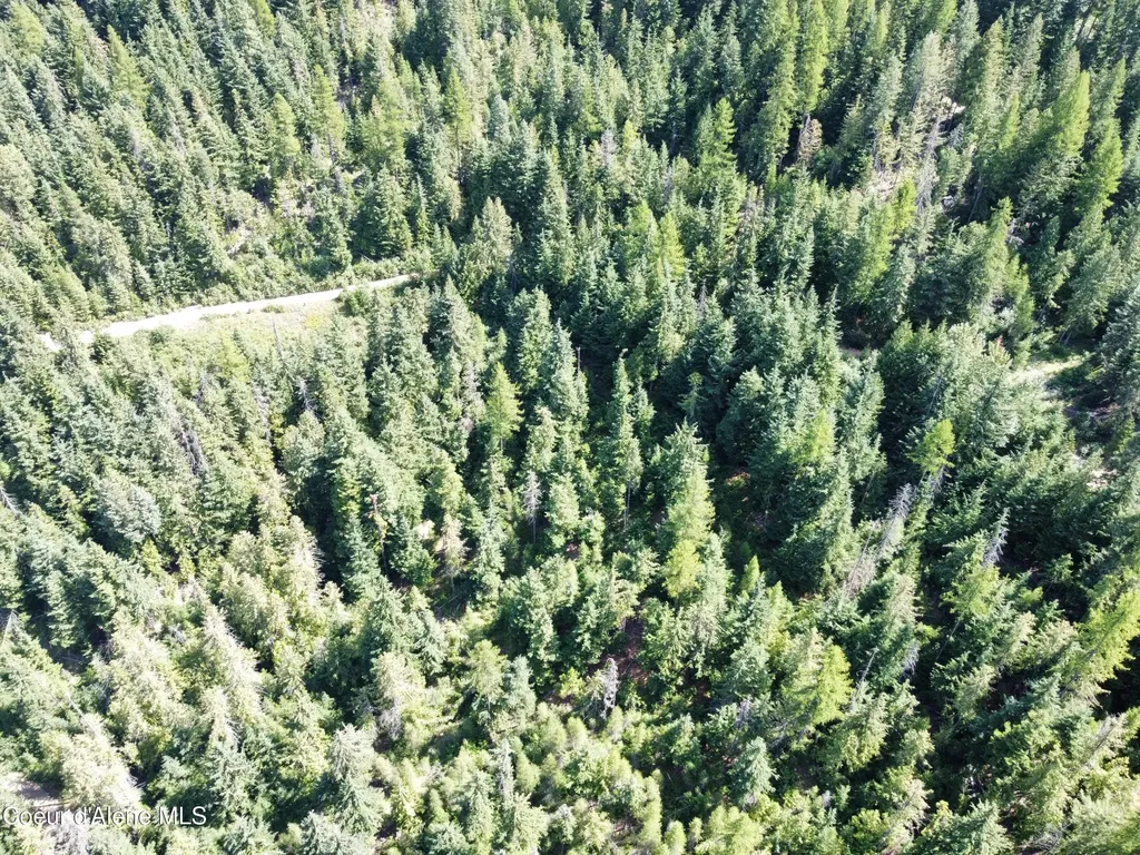 520 Alpine Drive Fernwood ID 83830