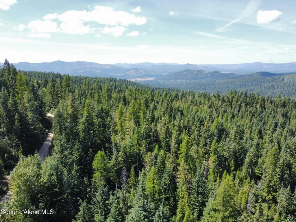 520 Alpine Drive Fernwood ID 83830