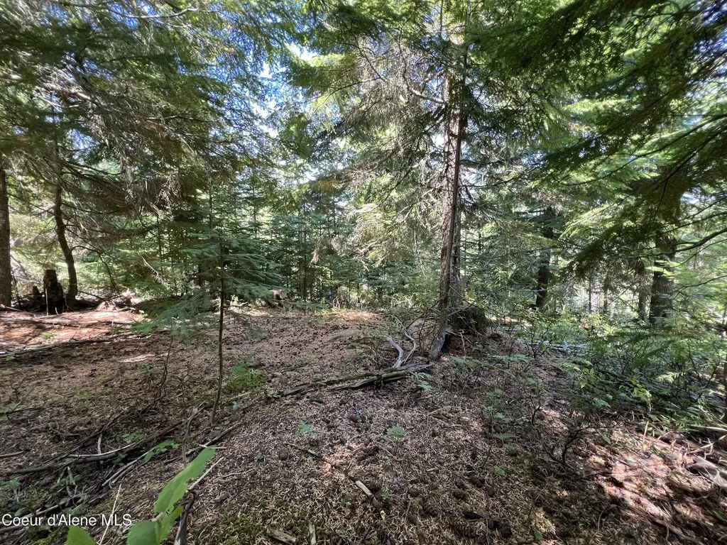 520 Alpine Drive Fernwood ID 83830