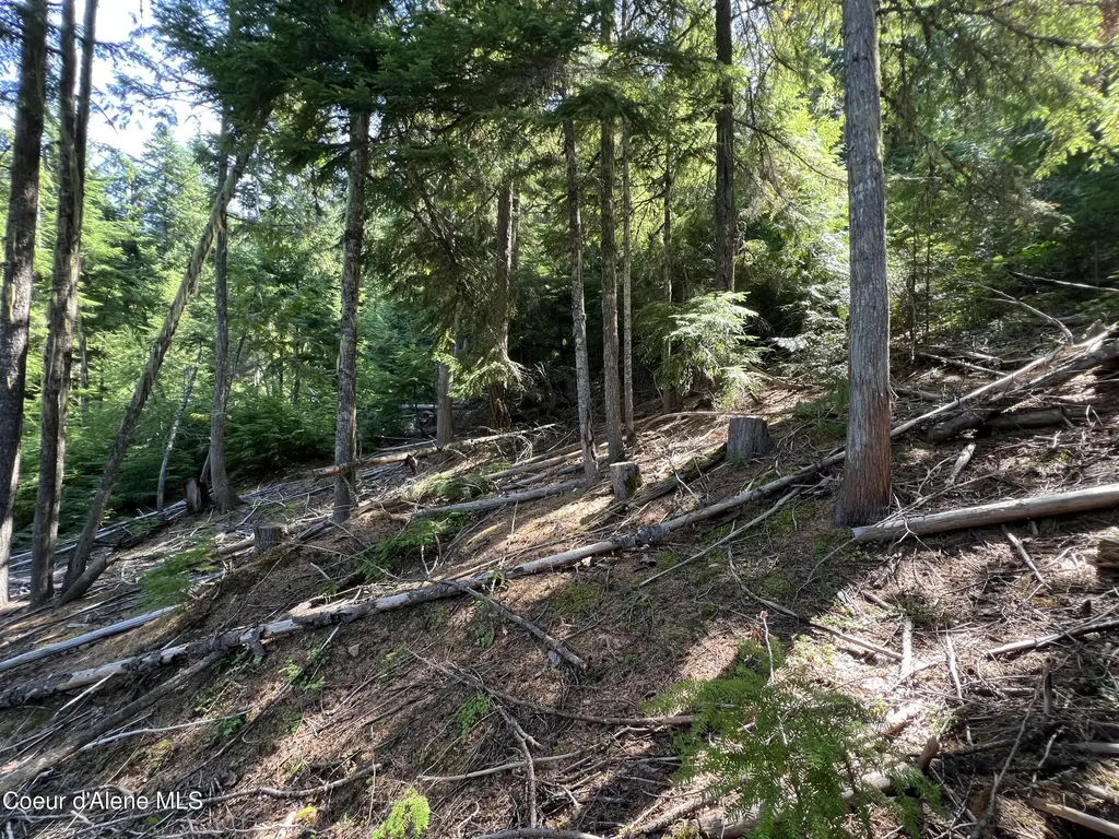 520 Alpine Drive Fernwood ID 83830