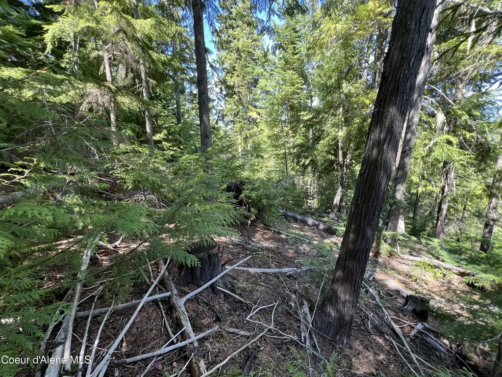 520 Alpine Drive Fernwood ID 83830