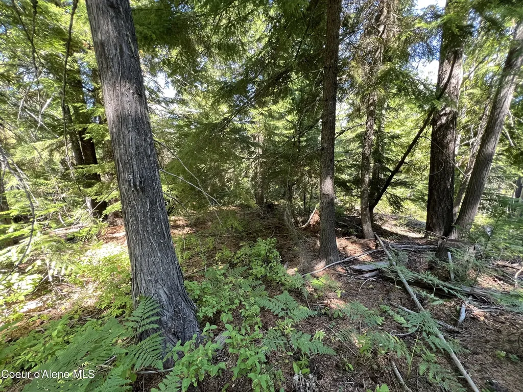 520 Alpine Drive Fernwood ID 83830