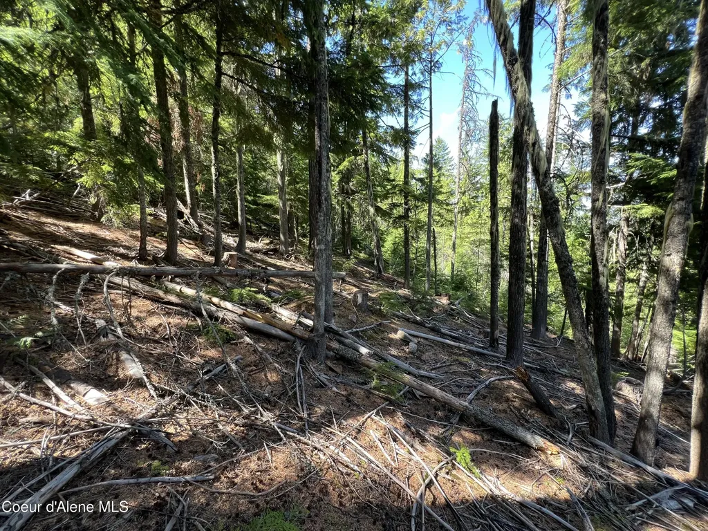 520 Alpine Drive Fernwood ID 83830
