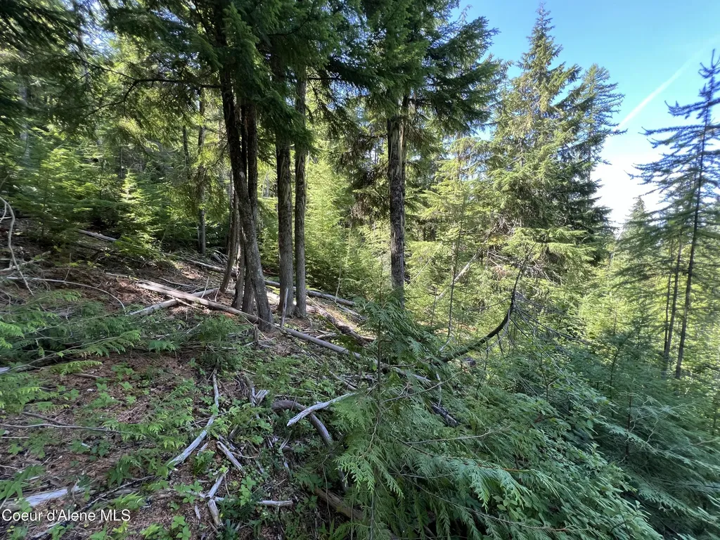 520 Alpine Drive Fernwood ID 83830