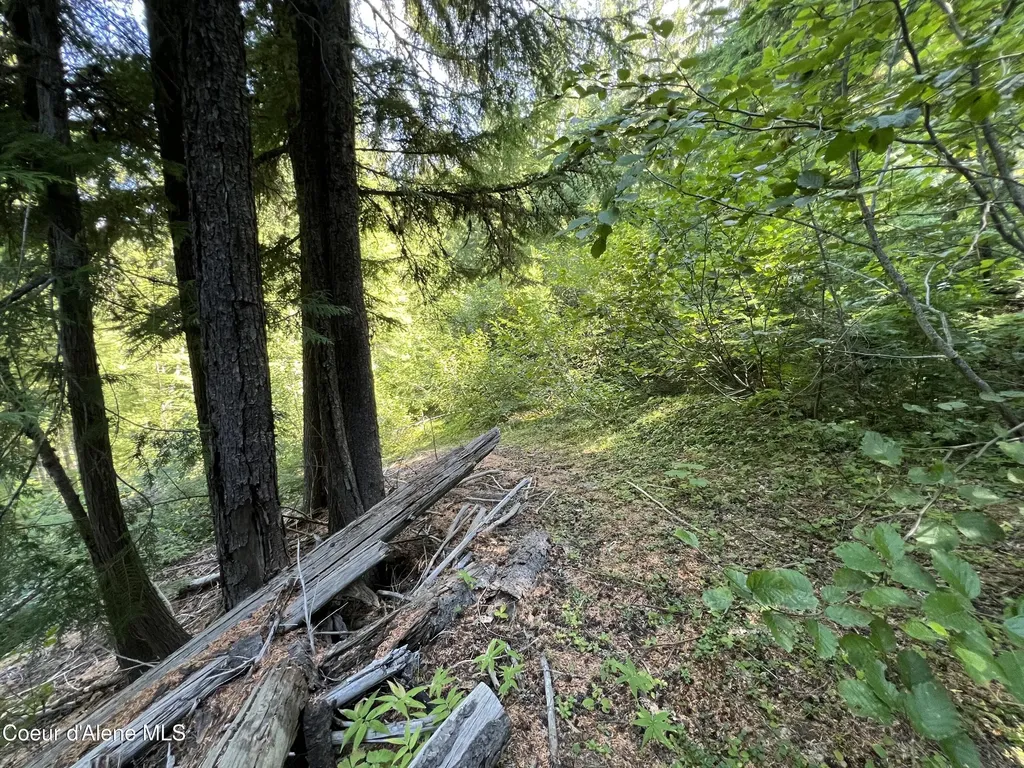 520 Alpine Drive Fernwood ID 83830
