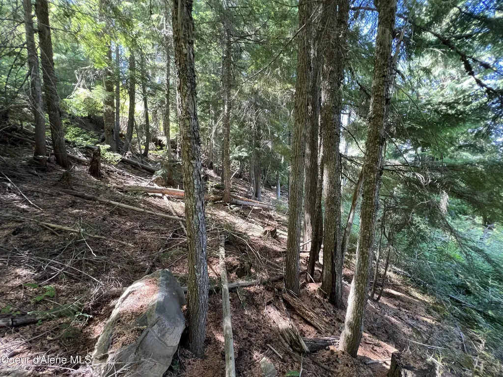 520 Alpine Drive Fernwood ID 83830