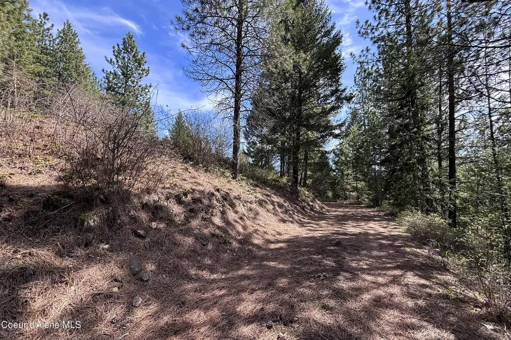 203 Richardsons Ridge Road Careywood ID 83809
