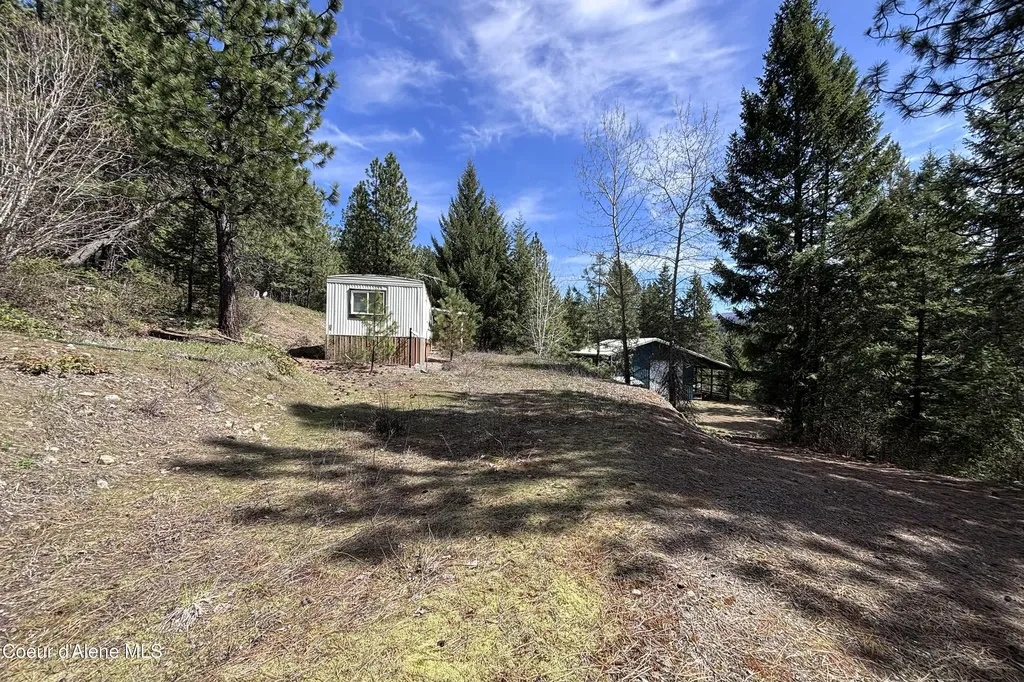 203 Richardsons Ridge Road Careywood ID 83809