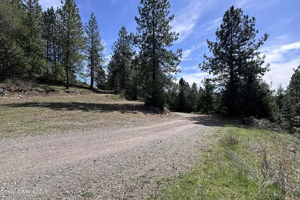 203 Richardsons Ridge Road Careywood ID 83809