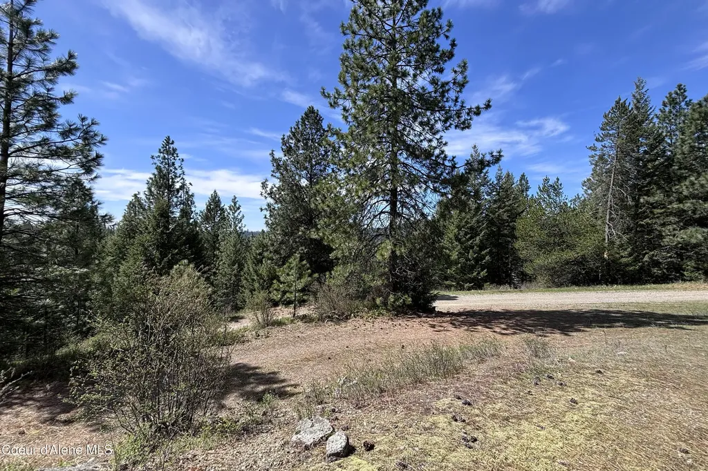 203 Richardsons Ridge Road Careywood ID 83809