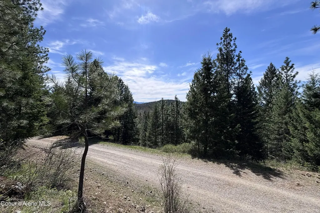203 Richardsons Ridge Road Careywood ID 83809