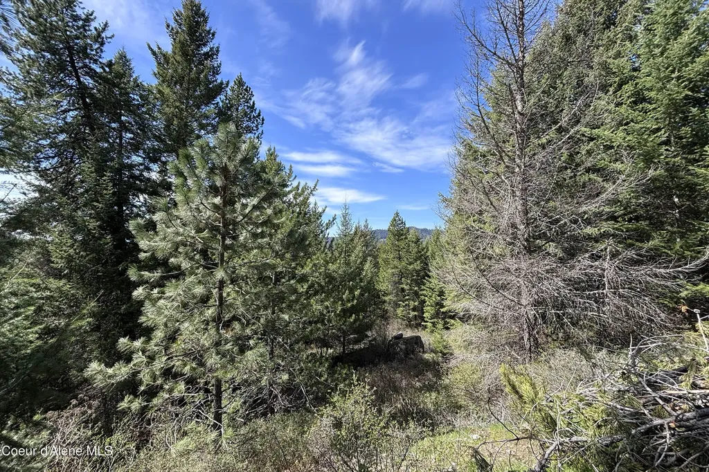 203 Richardsons Ridge Road Careywood ID 83809