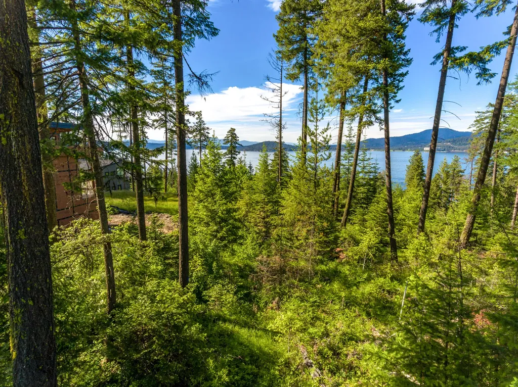 5103 S Jackleg Trail Harrison ID 83833