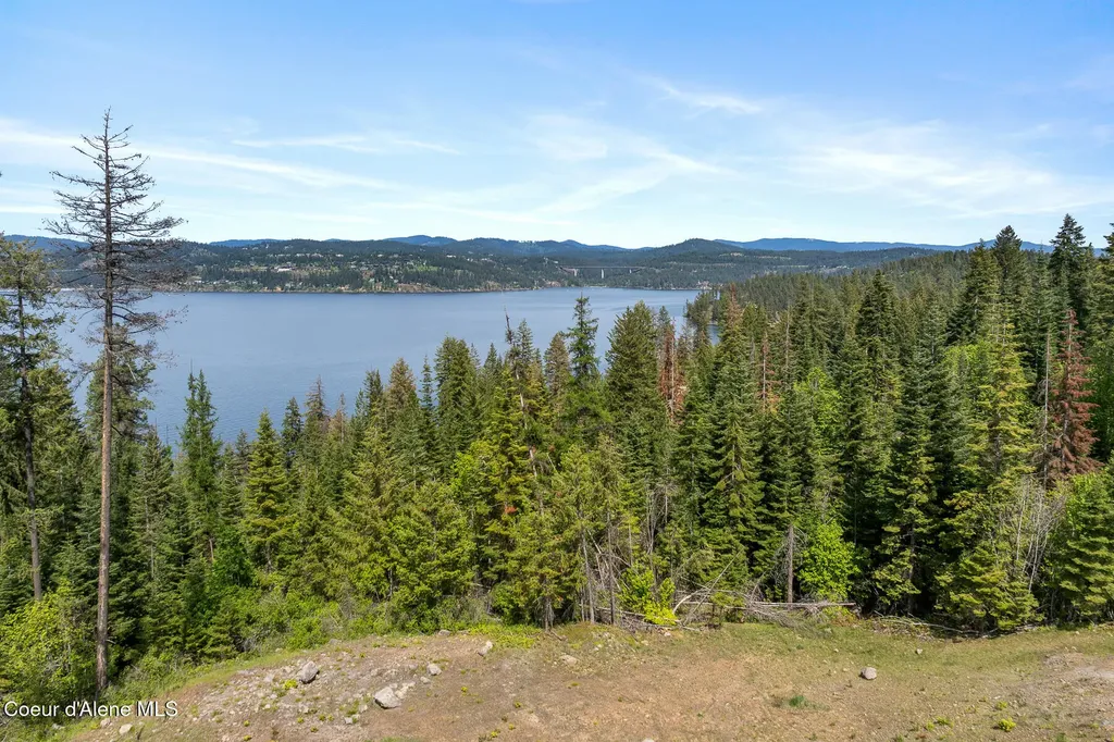 5103 S Jackleg Trail Harrison ID 83833