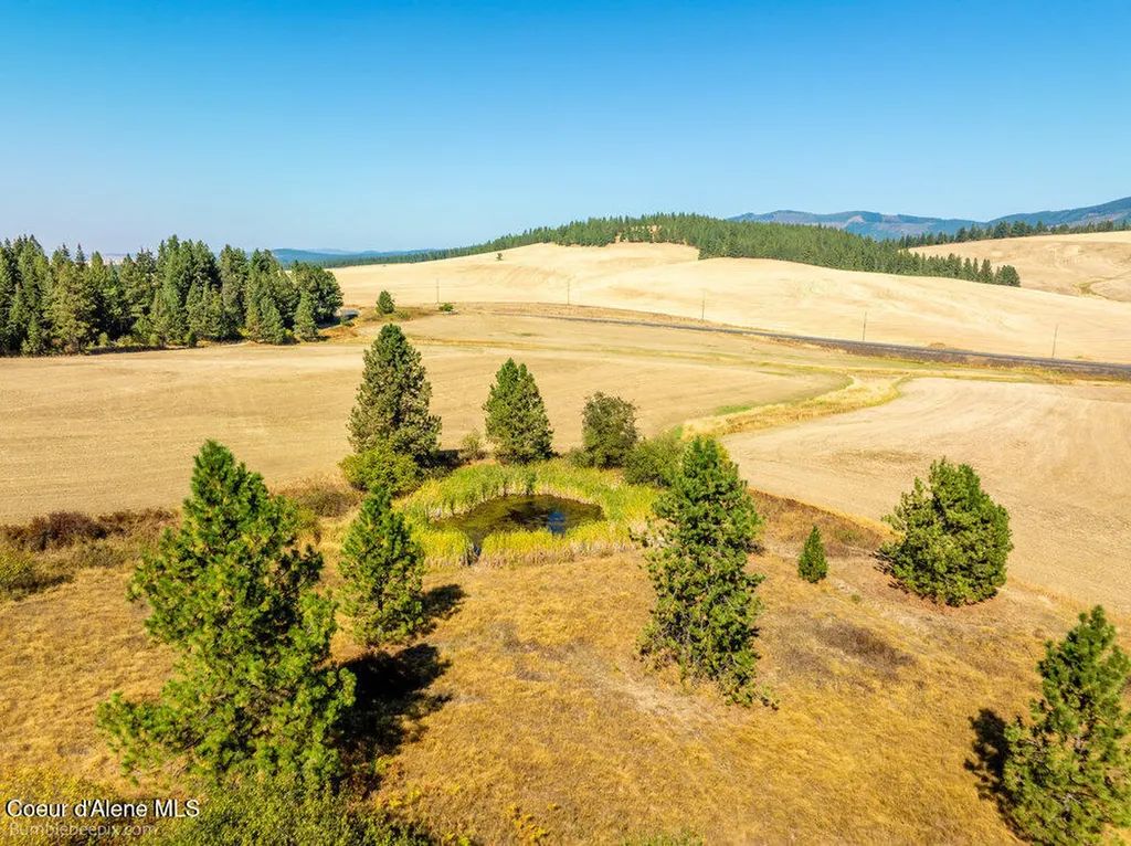 Nna Coldwater Lane Desmet ID 83824