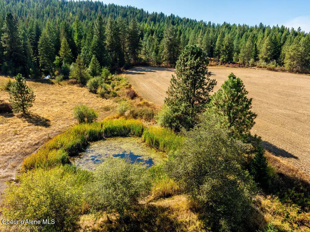 Nna Coldwater Lane Desmet ID 83824