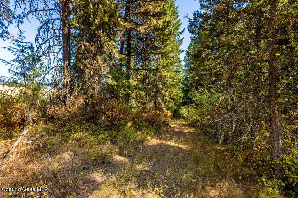 Nna Coldwater Lane Desmet ID 83824