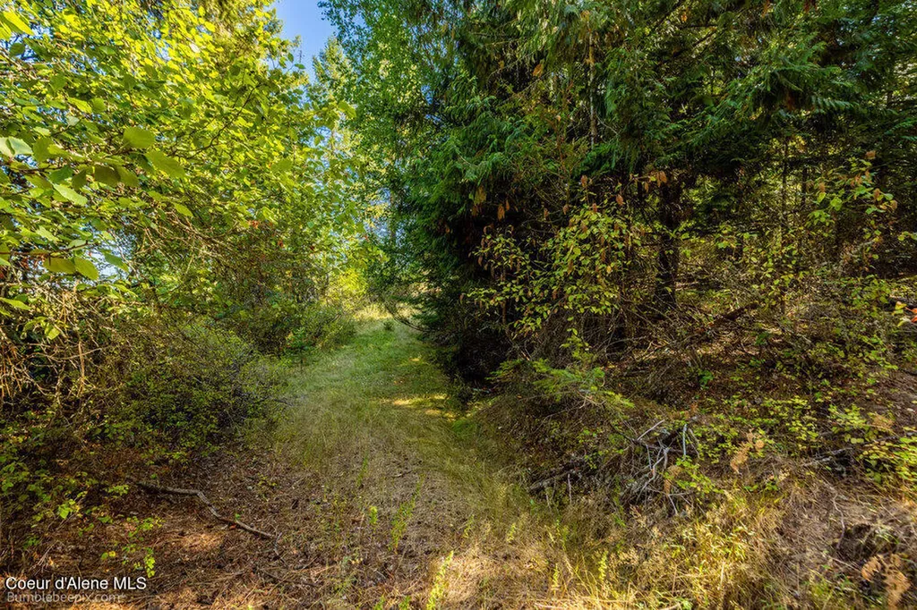 Nna Coldwater Lane Desmet ID 83824