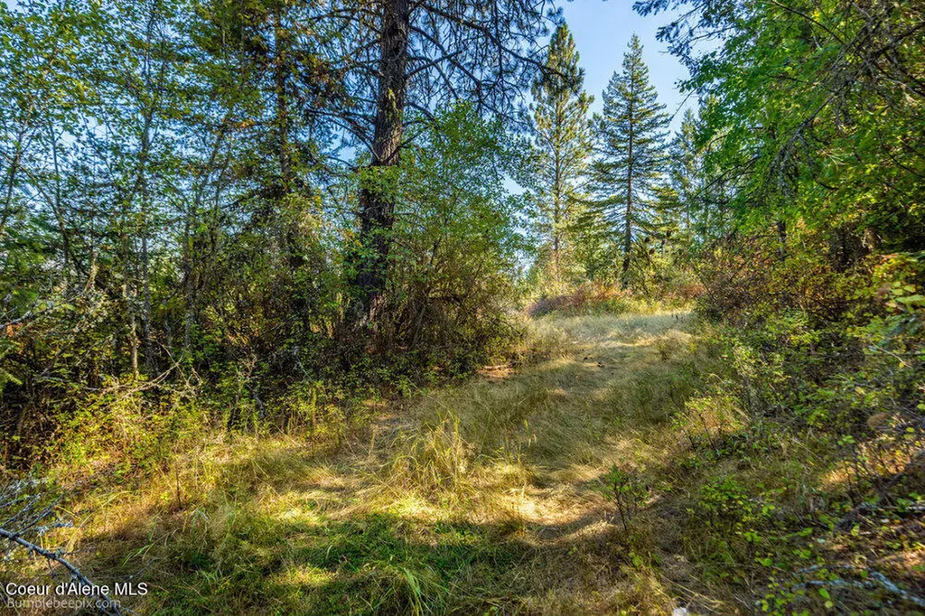 Nna Coldwater Lane Desmet ID 83824