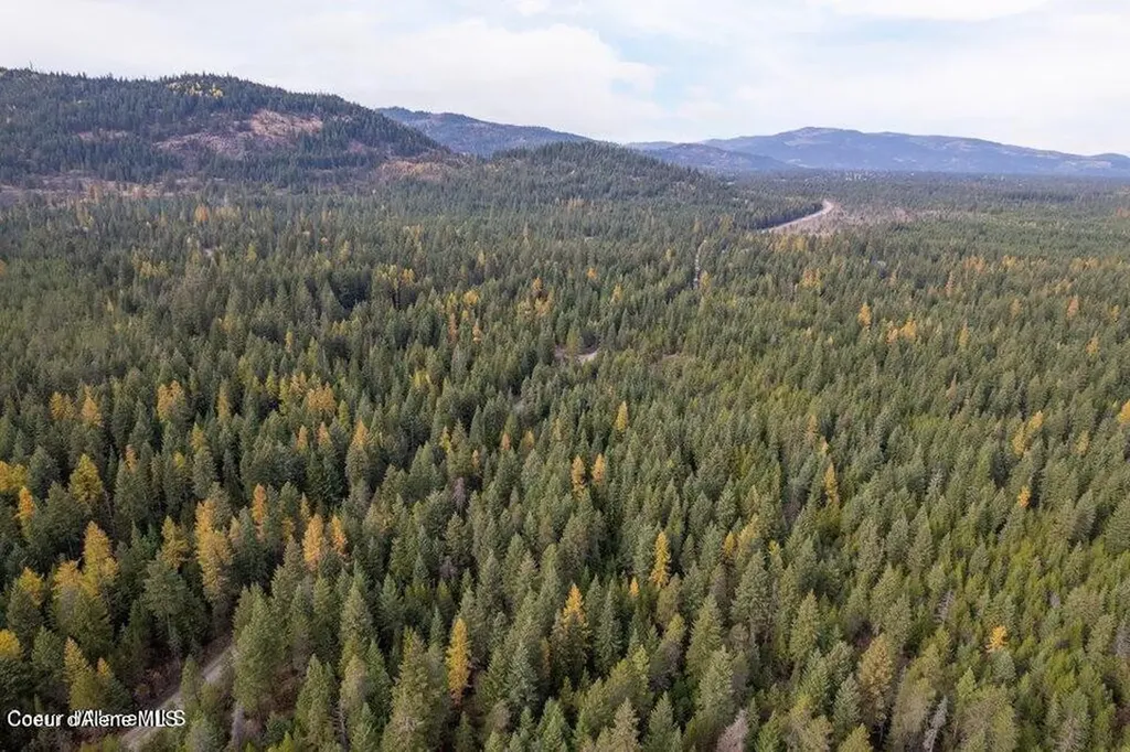 Lot 3 Bl 1 N Peak Road Spirit Lake ID 83869