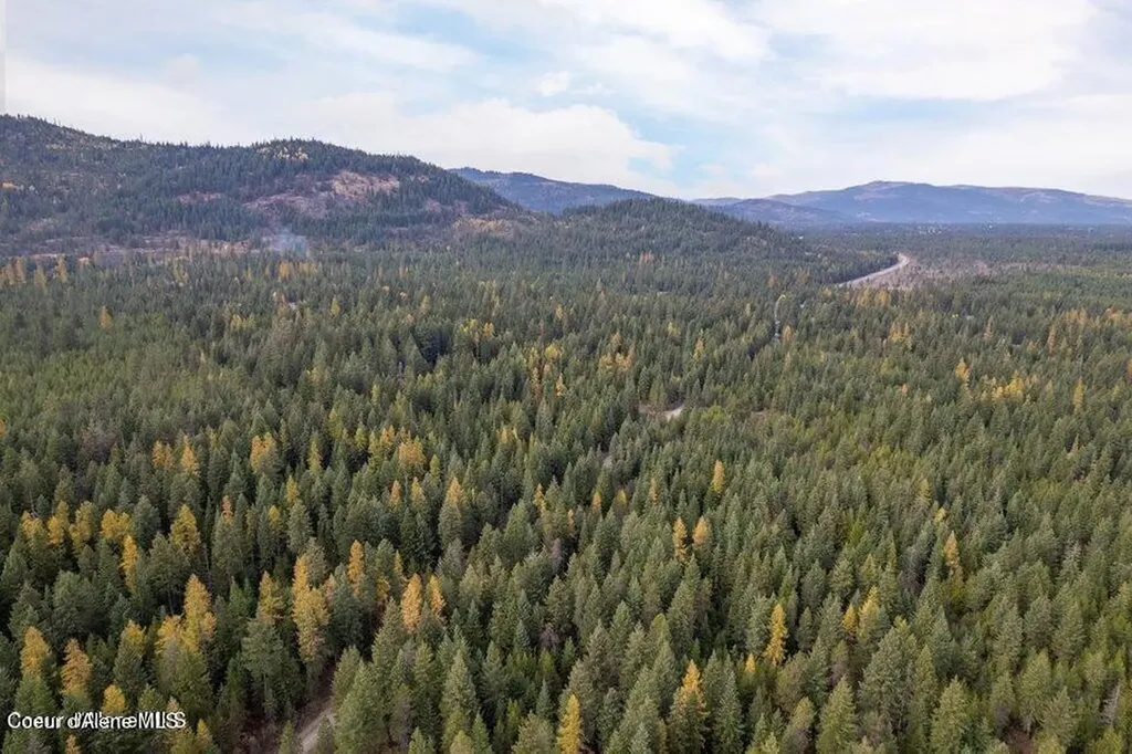 Lot 2 Bl 2 N Peak Road Spirit Lake ID 83869