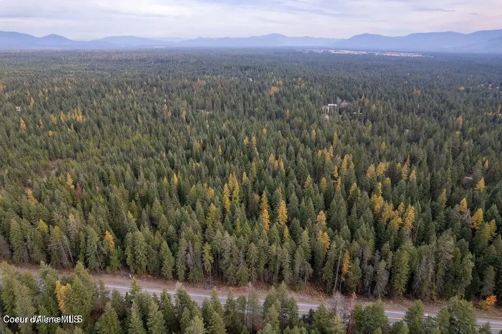 Lot 2 Bl 1 N Peak Road Spirit Lake ID 83869