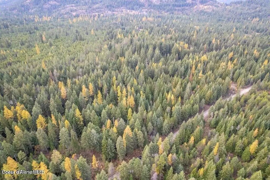 Lot 2 Bl 1 N Peak Road Spirit Lake ID 83869