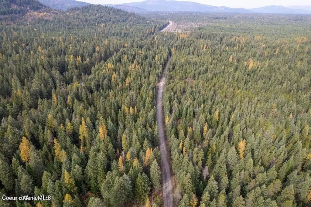 Lot 2 Bl 1 N Peak Road Spirit Lake ID 83869