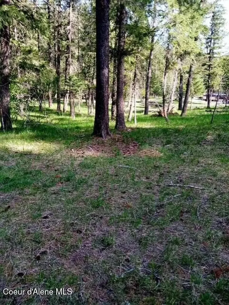 405 Shady Lane Wallace ID 83873