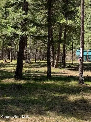 405 Shady Lane Wallace ID 83873
