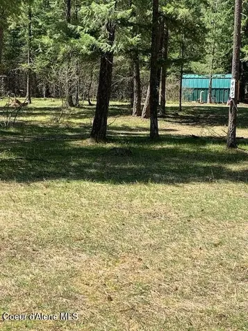 405 Shady Lane Wallace ID 83873