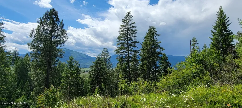 Smugglers Lane Tract A East Bonners Ferry ID 83805