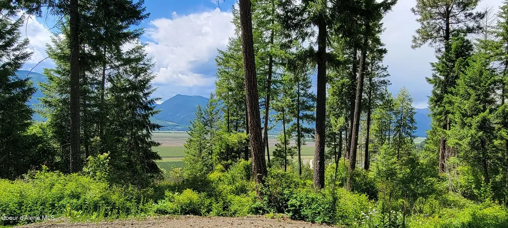 Smugglers Lane Tract A East Bonners Ferry ID 83805