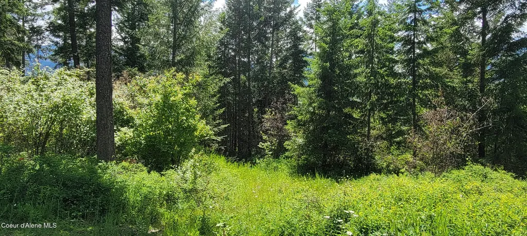 Smugglers Lane Tract A East Bonners Ferry ID 83805
