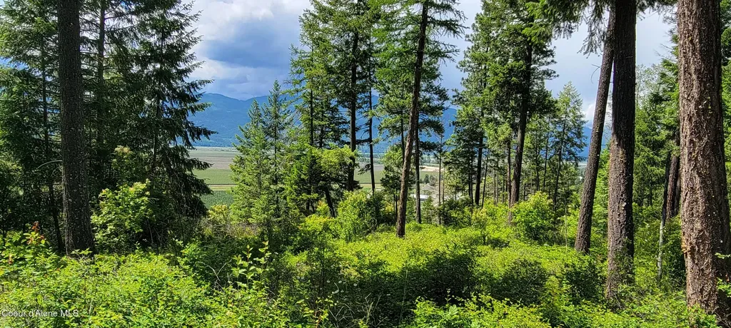 Smugglers Lane Tract A East Bonners Ferry ID 83805