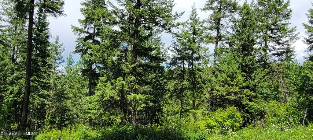 Smugglers Lane Tract A East Bonners Ferry ID 83805