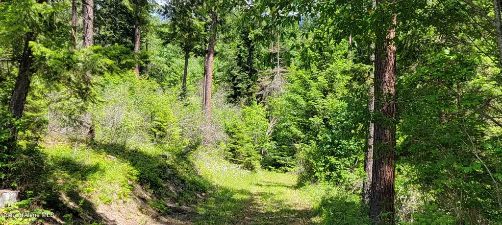 Smugglers Lane Tract A East Bonners Ferry ID 83805