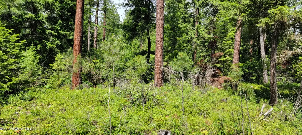 Smugglers Lane Tract A East Bonners Ferry ID 83805