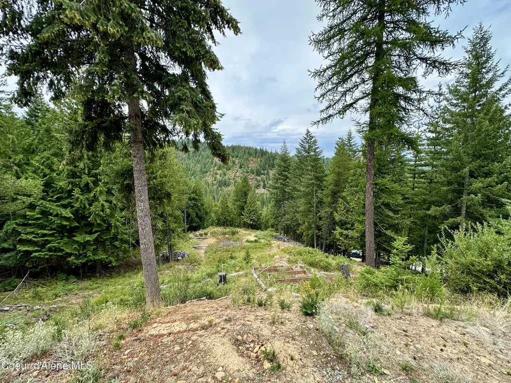 625 E Fork French Gulch Road Kingston ID 83839