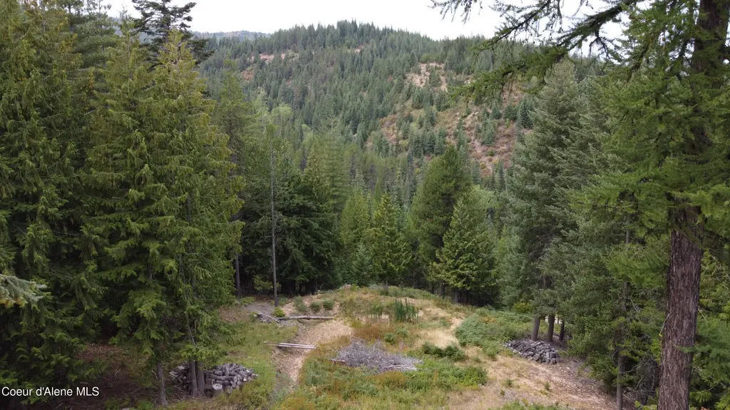 625 E Fork French Gulch Road Kingston ID 83839