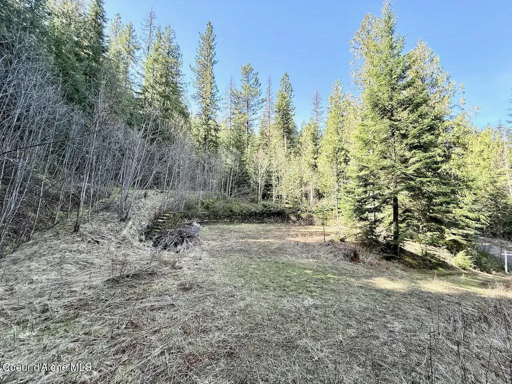 498 Revenue Gulch Road Silverton ID 83867
