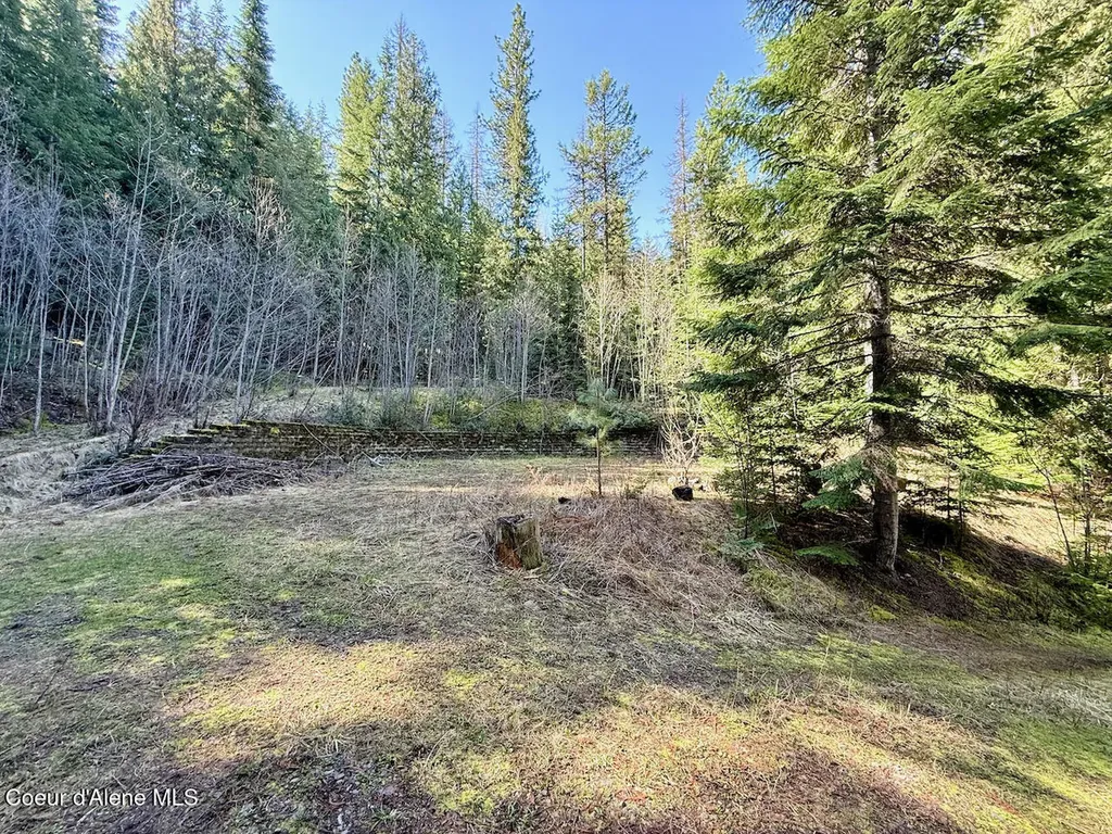 498 Revenue Gulch Road Silverton ID 83867